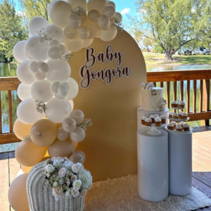 Balloon Decoration Level 1